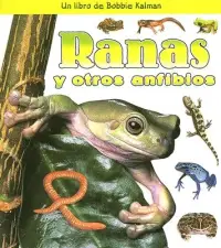 在飛比找博客來優惠-Ranas Y Otros Anfibios/ Frogs 