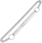Silent Dog Whistle, Adjustable Professional Ultrasonic Dog Whistle Stop Barking for Dog, Recall Training, with Metal Chain, No Bark Dog Training Tool, Barking Training Control Tool