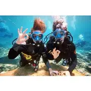 Save 20.00%! Discover Scuba Diving for Beginners