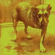 Alice In Chains-Alice In Chains CD