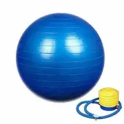 Exercise Gym Ball with Pump - 65cm