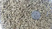 3Kg Turtle Sticks Floating Pellet Food - Australian Made High Quality