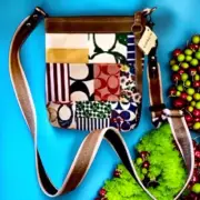 COACH Hampton Patchwork Logo Y2K Crossbody Bag Messenger New