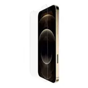 TemperedGlass Treated Screen Protector for iPhone 12 Pro Max
