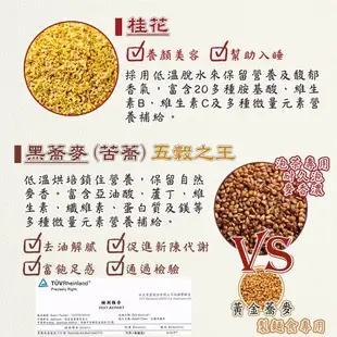 【蔘大王】桂花蕎麥茶包X10組（6gX10入/組）黃金蕎麥頂級版黑苦蕎茶 長效期版 油膩分解王 超大霸王量6g/入