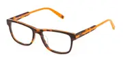 Fila VFI304 09P5 Men's Glasses Tortoiseshell Size 51 - Private Health Rebate - Blue Light Block Available