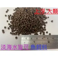 在飛比找蝦皮購物優惠-魚飼料 大顆 上浮 玩家用 高營養 不浮油 燈科 孔雀魚 鼠