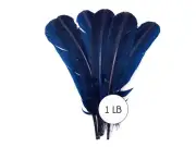 1 Lb. Navy Blue Turkey Tom Rounds Secondary Wing Quill Wholesale Feathers Craft