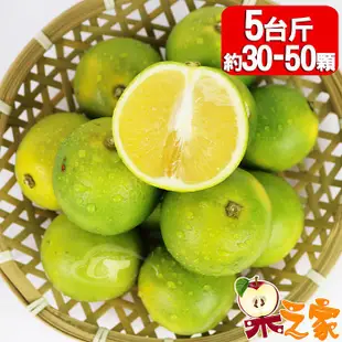 【果之家】台灣當季鮮採爆汁柳丁5台斤