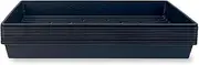 10 Plant Growing Trays (No Drain Holes) - 20" x 10" - Perfect Garden Seed Starter Grow Trays: for Seedlings, Indoor Gardening, Growing Microgreens, Wheatgrass & More - Soil or Hydroponic