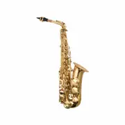 Axiom Complete Beginner Saxophone Outfit