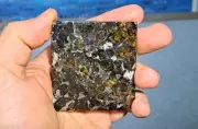 Seymchan Pallasite Meteorite - 120 grams BEAUTIFUL CRYSTALS