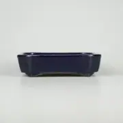Japanese bonsai pot TOKONAME YAMAFUSA Oval shape W13.3cmH3.3cm Ruri-blue Glazed