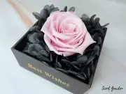 Immortal Flower Pink Rose Jewellery Gift Box/ Gift For Her/ Flower Arrangement