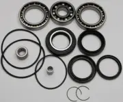 All Balls Racing Differential Bearing and Seal Kit Rear 25-2010