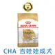 《ROYAL CANIN 法國皇家》BHN 吉娃娃成犬CHA 1.5KG 3KG (可超取)【培菓寵物】