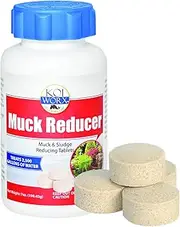 Koiworx Muck Reducer - Treats up to 2,500 gallons for up to 4 Months - Tablets Reduce Muck, Sludge and Organic Build up - Formulated for Ponds and Water Features - Safe for Koi