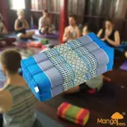 MANGO TREES Yoga Block Meditation Cushion Pillows Pilates Prop Bolster Blu