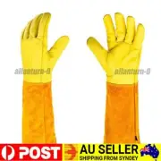 Long Leather Garden Gloves Rose Pruning Thorn Proof Gardening Protective Sleeve