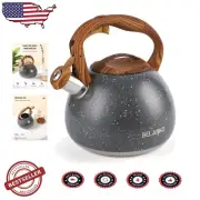 Graphite Gray Tea Pot with Loud Whistle - Food-Grade Stainless Steel Design
