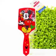 Disney Mickey Mouse Brush Large Paddle Hair Brush Woman Girls Birthday Gift New
