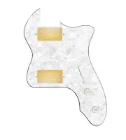 920D Custom 72 Thinline Tele Loaded Pickguard With Gold Smoothie Humbuckers, ...