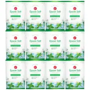 Spearmint & Menthol Epsom Salt, Natural Magnesium Sulfate, 1lb (Pack of 12)