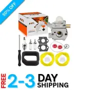 Carburetor 308054075 for Homelite 26B Blower - With Essential Maintenance Parts