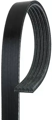 For 2004 Fiat Palio 1.6L Serpentine Belt Gates 159GP65 (for: Fiat)