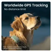 Tractive GPS DOG XL - Green