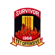 MILITARY EMBROIDERED PATCH - TET OFFENSIVE -- IRON-ON -- NEW 3" - FREE SHIPPING