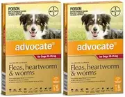Advocate for Dogs for Large Dogs 10 to 25Kg Red 12 Pipettes