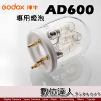 在飛比找蝦皮商城優惠-Godox 神牛 AD600 專用燈泡 AD600FT 60