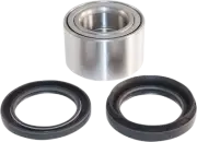 EPI Wheel Bearing Kit WE301032