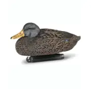 DOA Decoys Beavertail Refuge Series Black Duck Floater Decoy 6 Pack