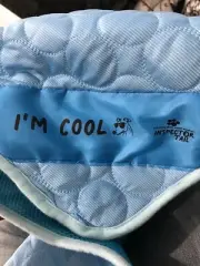 INSPECTOR TAIL Self Cooling & Traveling Mat + Free String Bag Pack/Washable & Po