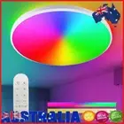 Smart Ceiling Light Compatible with Alexa 24W 11.8 Inch for Kitchen Hallway