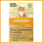 Advocate for Kittens Cats Up To 4kg Fleas Worms Heartworm Larvae Mites Cat Pet