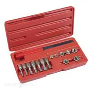 Toledo Thread Restoring Set - Metric, 15 Piece - 301450