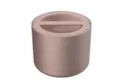 Bentgo Stainless Steel Insulated Food Container Rose Gold