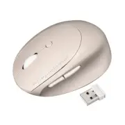 Sanwa Supply Silent Wireless Small Ergonomic Mouse (Rechargeable, 5 Buttons, Bei