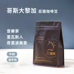 【JC咖啡】哥斯大黎加 精品莊園咖啡│淺中焙 - 音樂家 布蘭卡 咖啡豆任選 半磅 (230G) 新鮮烘焙