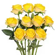 12 PCS Artificial Roses, 50cm Single Long Stem Fake Rose (Yellow)