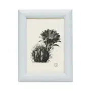 Pigeon & Poodle Oxford Faux Shagreen Frame, 5 x 7