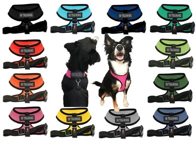 IN TRAINING Mesh Padded Soft Puppy Pet Dog Harness Breathable 12 Colors 5 Sizes