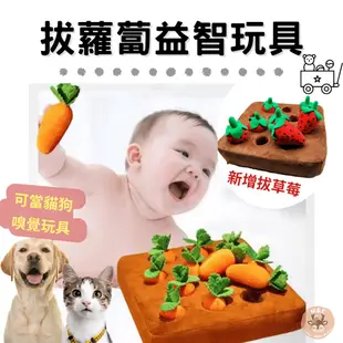 【M&E台灣現貨】拔蘿蔔 拔草莓 嬰兒啟蒙玩具 紅蘿蔔 寵物玩具 嬰兒益智玩具 紅蘿蔔玩具 嗅聞墊 狗益智玩具 嗅聞玩具