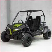 2025 NEW - Cheetah 300cc EFI Drift Race Buggy Go kart Adults Double Seater kids