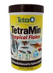 Tetramin Tropical Flakes 62G