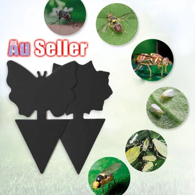 6/24x Dual Sided Sticky Trap Insect Killer Whitefly Thrip Fruit Fly Gnat AU