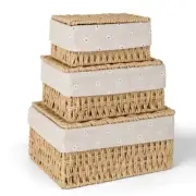Storage Basket, Pack of 3 Storage Basket with Lid, Woven Basket Made of 6044